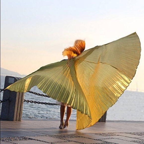 Accessories - Gold Wings